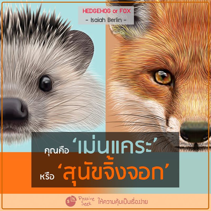 My Image 10