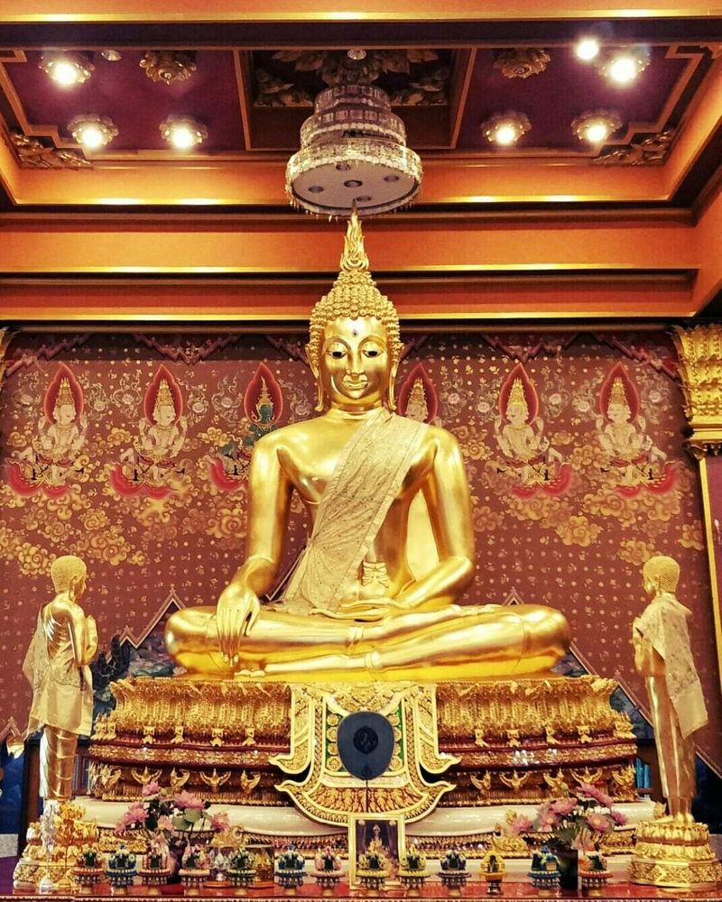 My Image 3