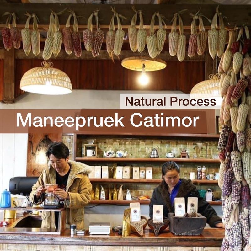 [Gallery Drip Coffee] รอบที่แล้วใครกดไม่ทัน มาเพิ่มแล้วค๊าา “มณีพฤกษ์