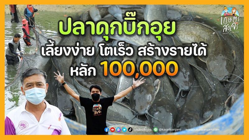 ″ปลาดุกบิ๊กอุย” เลี้ยงง่าย โตเร็ว สร้างรายได้หลัก 100,000 | เกษตรสัญจร