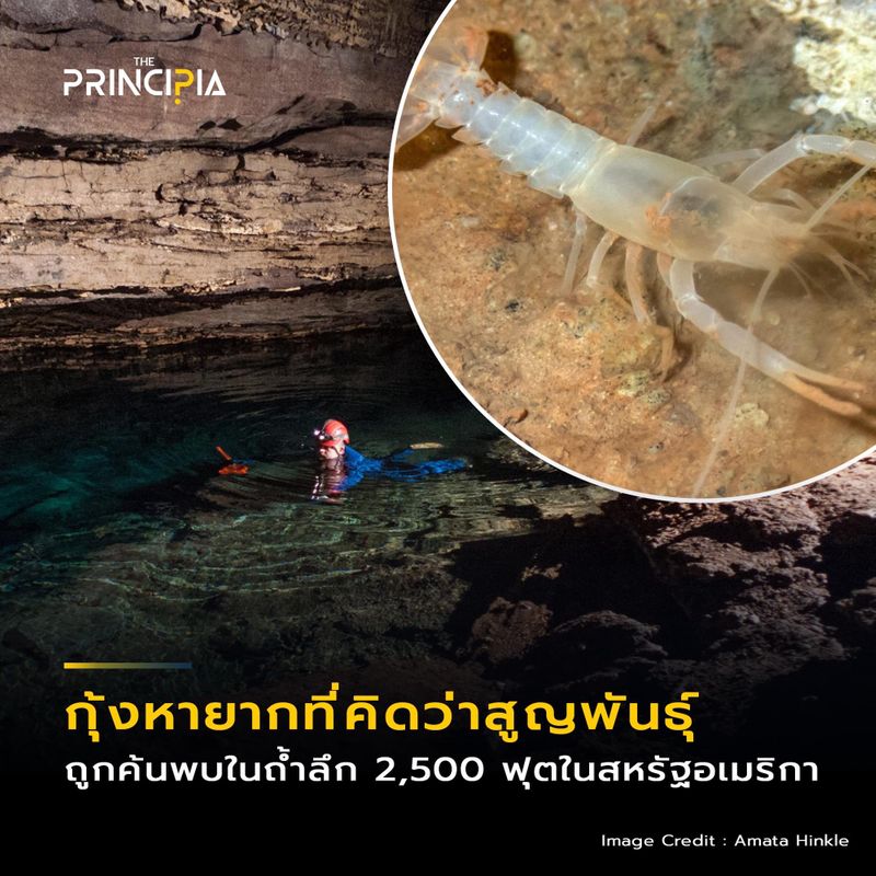 My Image 70