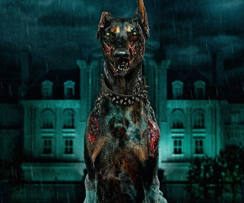 [The Last karuda] ดึกแล้วลงได้ ...เมื่อซีรีส์ Resident Evil มีความสำคัญอย่างมากต่อพวกเขา พวกเขาจึงทำงานอย่างหนักเพื่อสร้างละครภาคแยก...