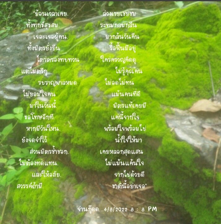 My Image 47