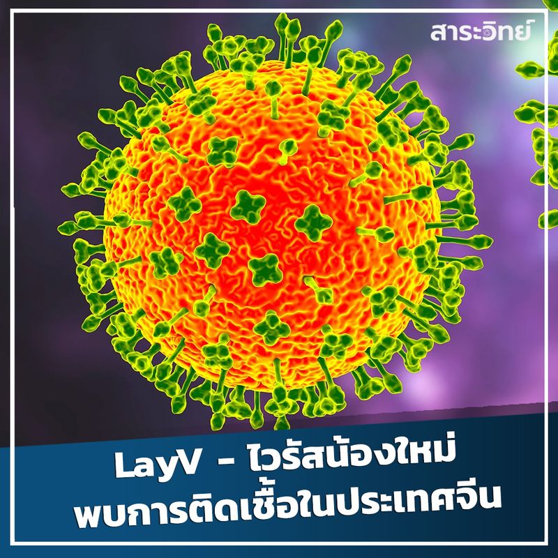 [นิตยสารสาระวิทย์] LayV - ไวรัสน้องใหม่ พบการติดเชื้อในประเทศจีน ...