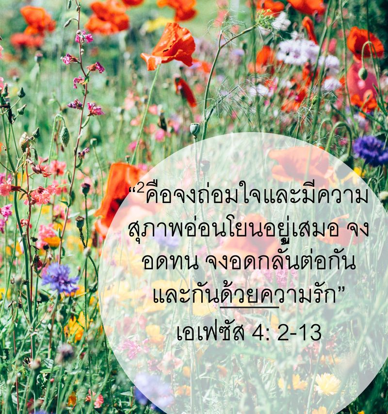 My Image 5
