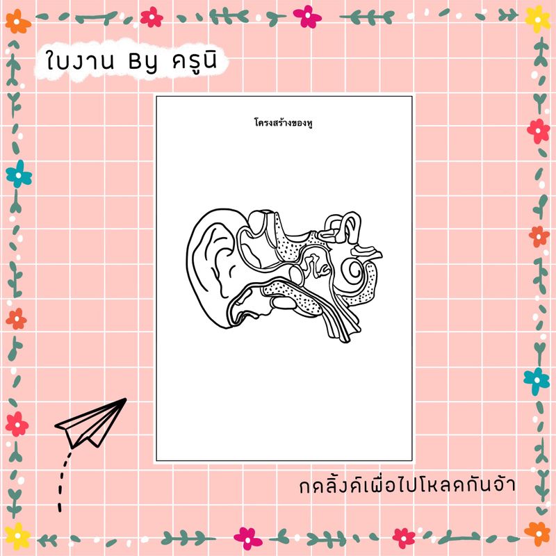 My Image 47