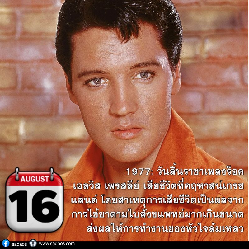 My Image 64