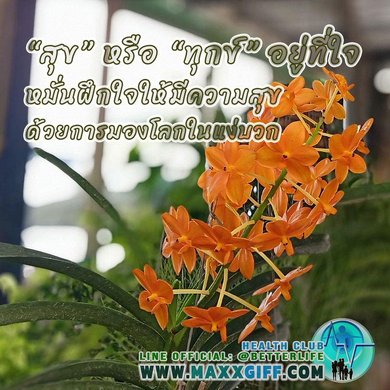My Image 32