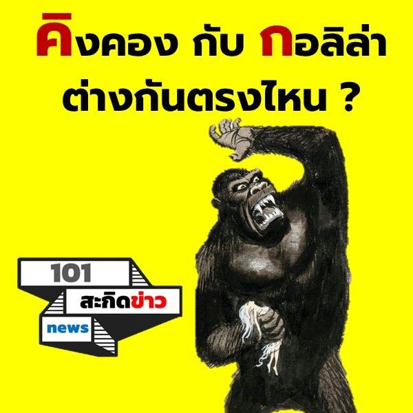 My Image 2