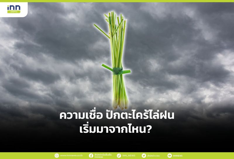 ความเชื่อ ปักตะไคร้ไล่ฝน เริ่มมาจากไหน?