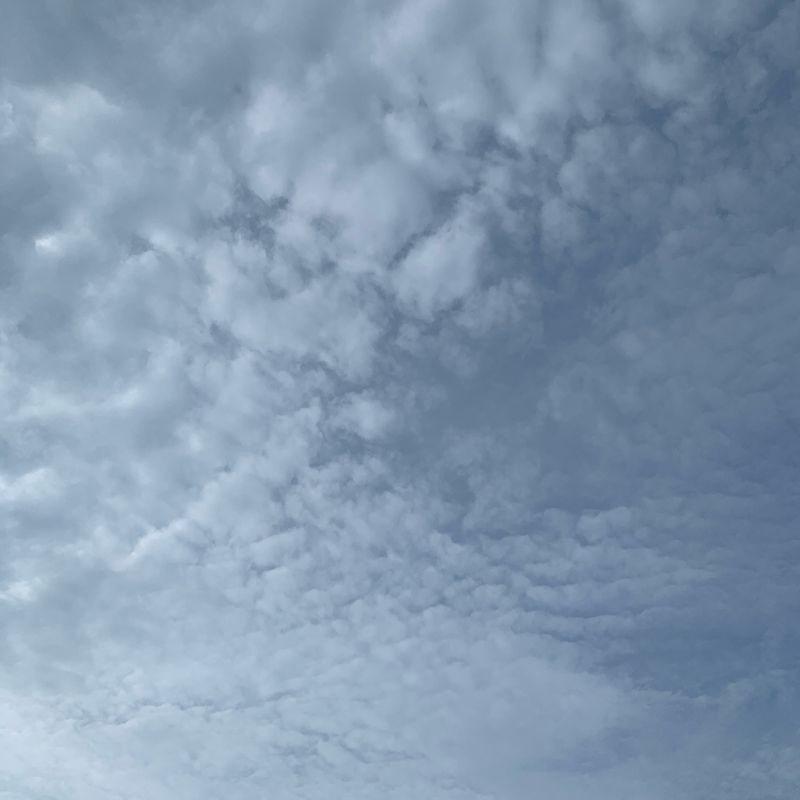 My Image 11
