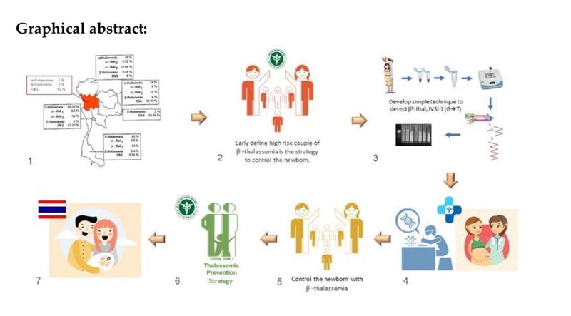 [Piyachat] Blog ที่ 74 (08/09/22) อธิบาย graphical abstract ใน ...