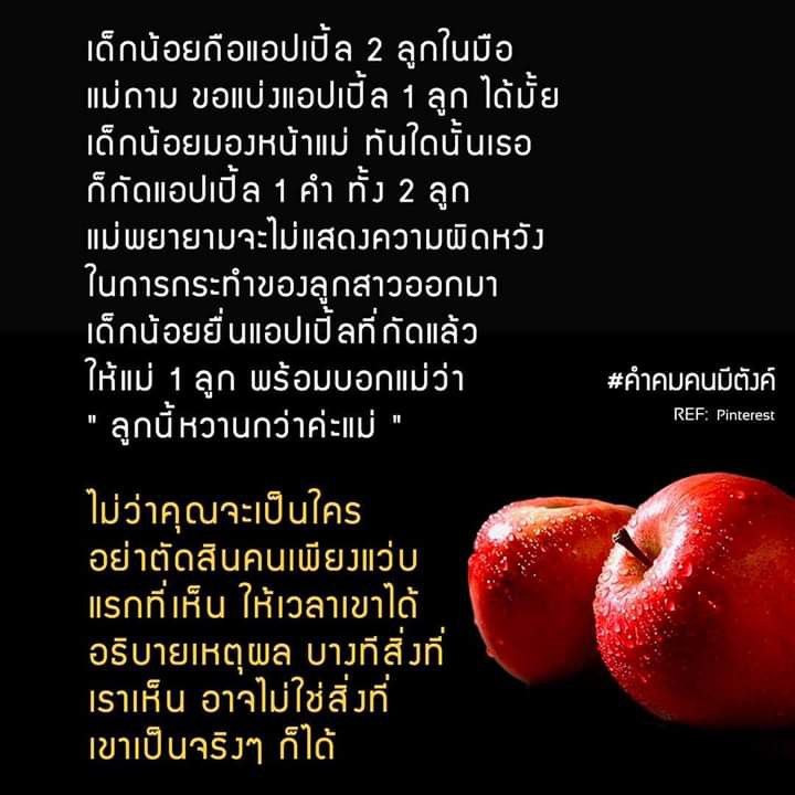 My Image 18