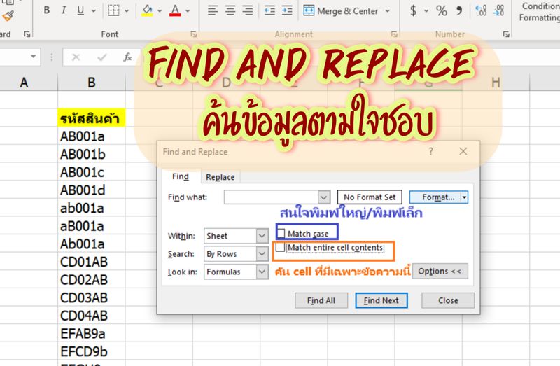 [ลั้ลลา Microsoft] 🕵️‍♂️Find and Replace🕵️‍♀️ ค้นข้อมูลตามใจชอบ 🗨คุณเคย ...