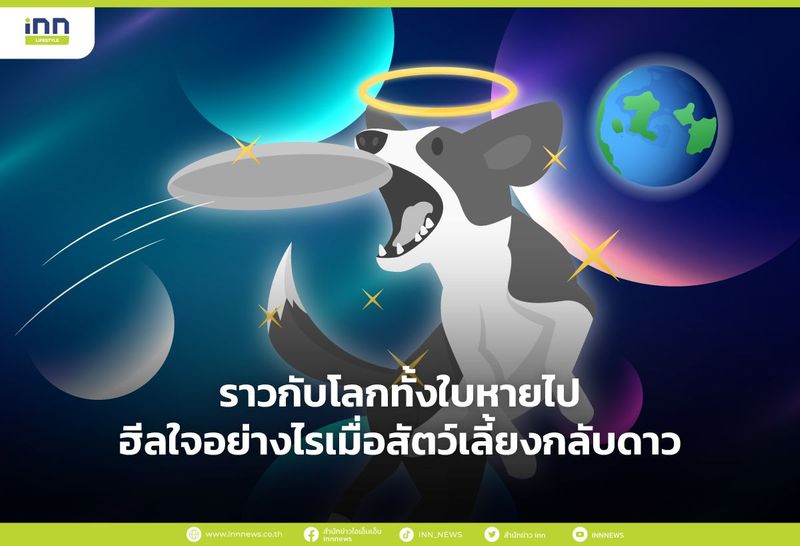 ราวกับโลกทั้งใบหายไป ฮีลใจอย่างไรเมื่อสัตว์เลี้ยงกลับดาว