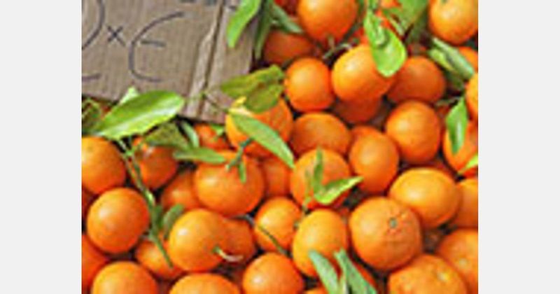 Which countries have experienced the greatest increase in fruit and vegetable prices in 2022?