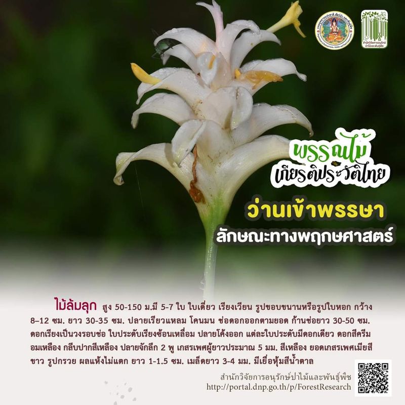 Porno video: Spermatozoidda bogildi