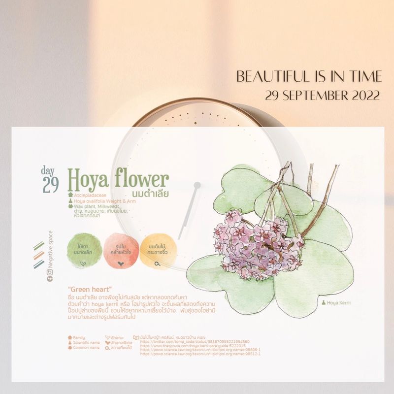 [ngsp] hayo hoya SEPTEMBER twenty nine “ some things in life may