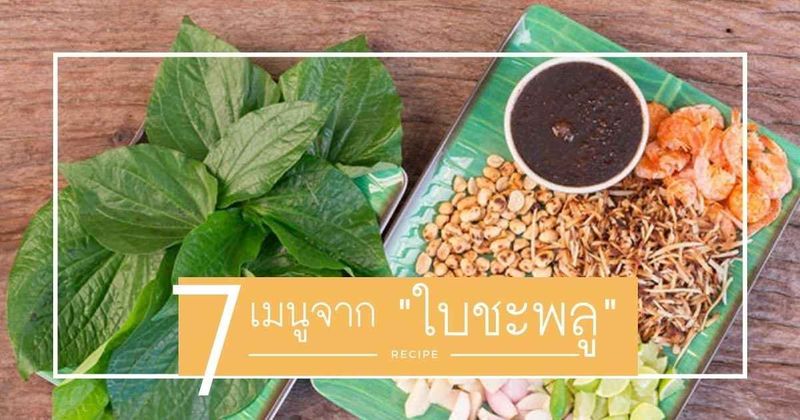 7 เมนูจากใบชะพลู แจกสูตรอาหารไทยเพื่อสุขภาพกลิ่นหอมอร่อยเพลิน