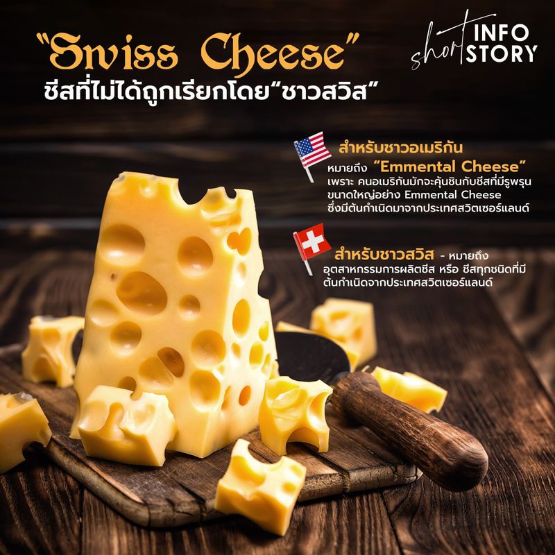 infostory-swiss-cheese