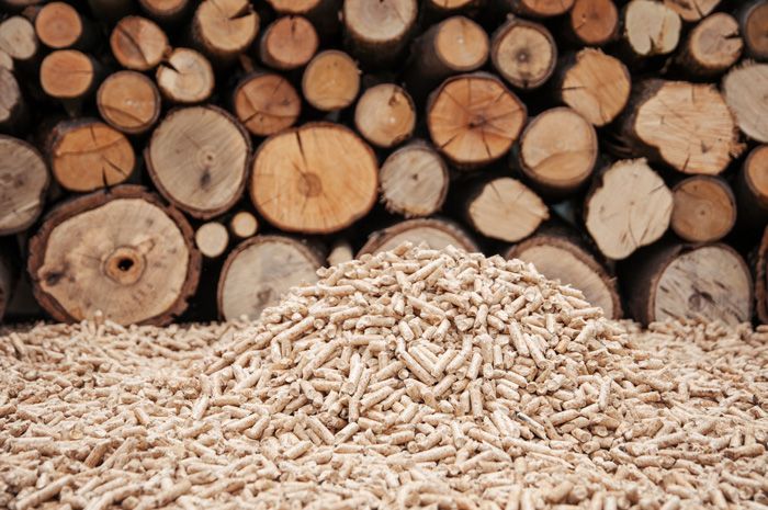 NEW INVESTIGATION: UK’s Drax bid to buy Pinnacle could turn some of last remaining primary forests in Canada into wood pellets, putting species and the climate at further risk