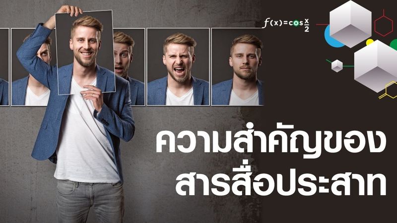 ″สารสื่อประสาท (Neurotransmitter)” ส่วนเล็ก ๆ ที่มีผลต่ออารมณ์และการทำงานของร่างกาย