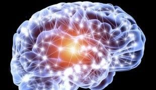 สารเคมีในสมองที่สมดุล ส่งผลต่อชีวิตที่เป็นสุขและมีความสุขของเรา