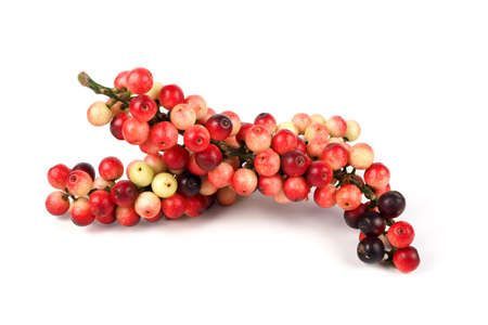 347 Antidesma Stock Photos and Images - 123RF