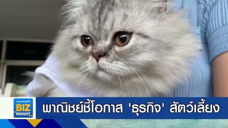 พาณิชย์ชี้โอกาส ’ธุรกิจ’ สัตว์เลี้ยงเติบโตสูง