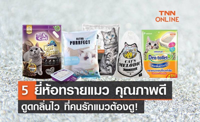 5 ทรายแมวยี่ห้อไหนดี คุณภาพปัง ดูดกลิ่นไว คนรักแมวห้ามพลาด!