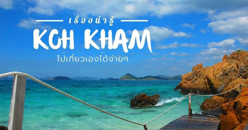 20 เรื่องเกาะขาม ชลบุรี ที่ควรรู้ ก่อนไปดูปลา ชมปะการังกับน้ำทะเลใสเว่อร์
