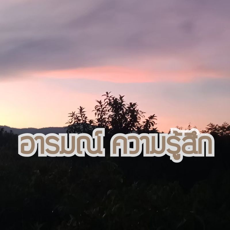 My Image 24