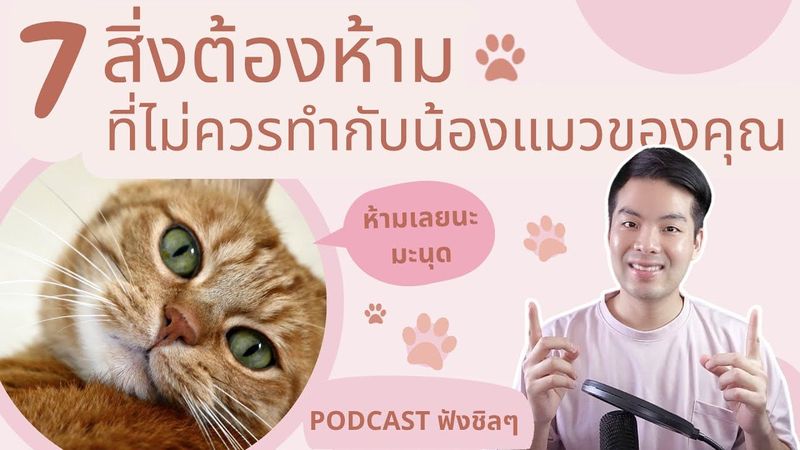 7 สิ่งต้องห้าม ที่ไม่ควรทำกับแมวของคุณ! คนเลี้ยงแมวต้องรู้ไว้! | #ALEXMOONWALK | #แมว #น้องแมว