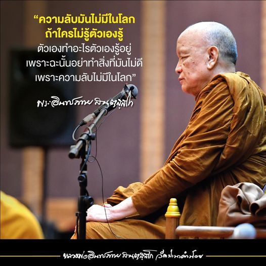 My Image 24