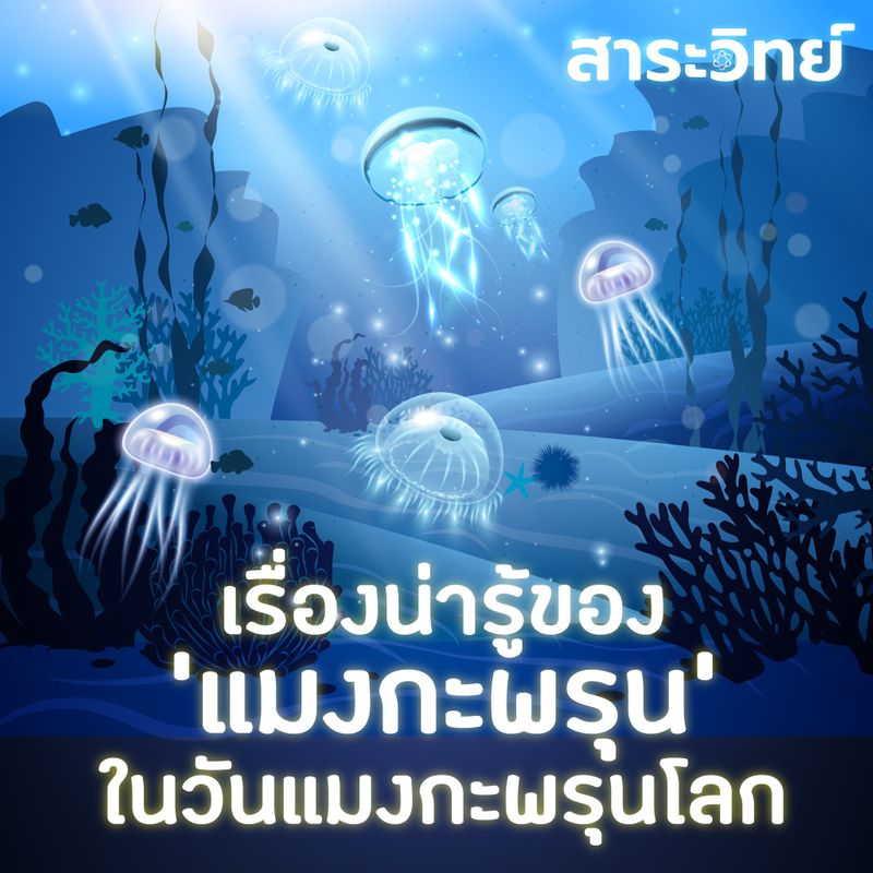 My Image 4