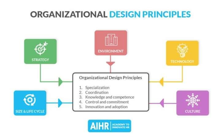 [Quality Man] #Organization Design #การออกแบบองค์กร