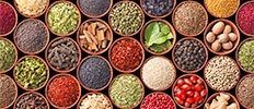 [Food and Beverages] Halal ingredients are also gaining traction in the ...