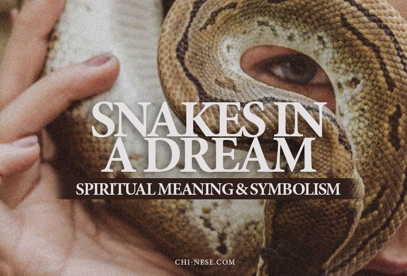Dream About Snake - Spiritual Meaning & Symbolism (23 Dream Scenarios)