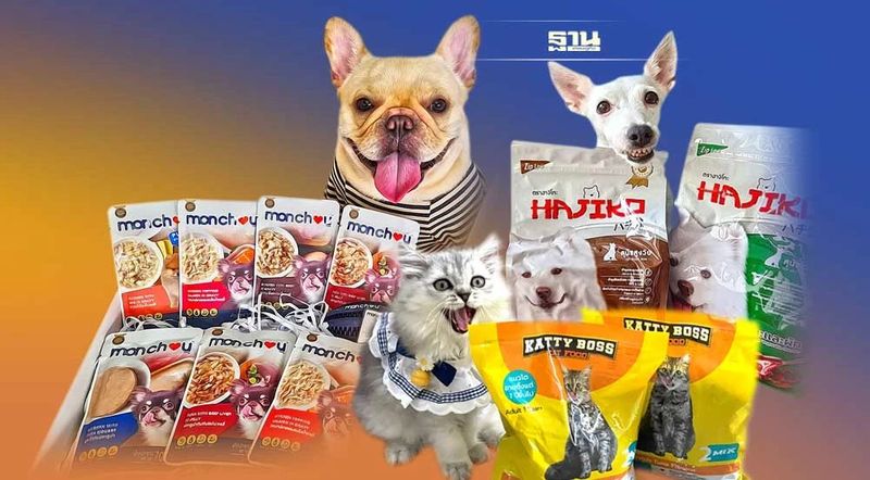 อาหารสัตว์เลี้ยง 5 ล้านล้านแข่งดุ ผู้ผลิตไทยบุกน่านน้ำใหม่ ”จีน-อังกฤษ”