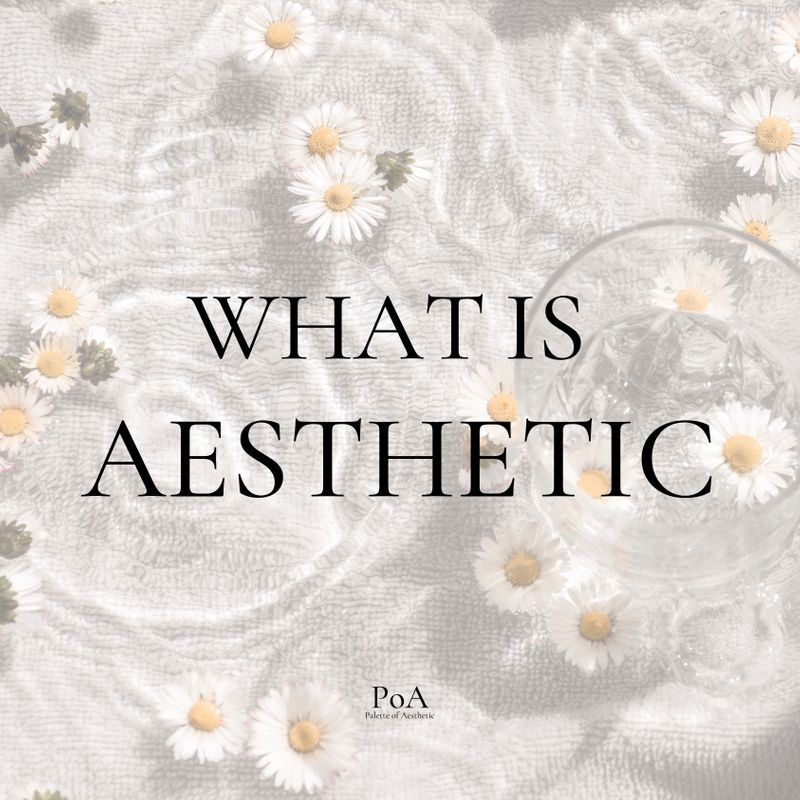 [PoA (Palette of Aesthetics)] What is aesthetic? Aesthetic คืออะไร ทำไม