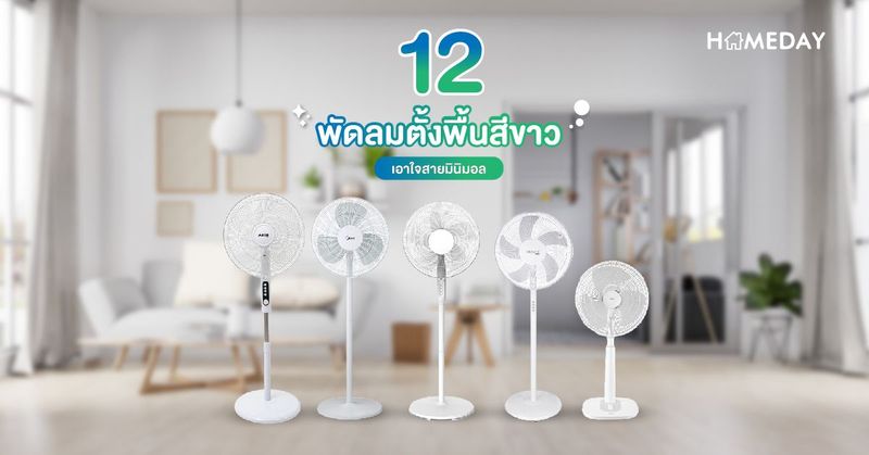 12 แบบ พัดลมมินิมอล ตั้งพื้นสีขาว - HOMEDAY