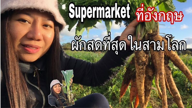 ตลาดผักปลอดสาร สดที่สุดในสามโลก ที่อังกฤษ | super Fresh Market | pick your own | kkdกีกี้เดฟ_vlog