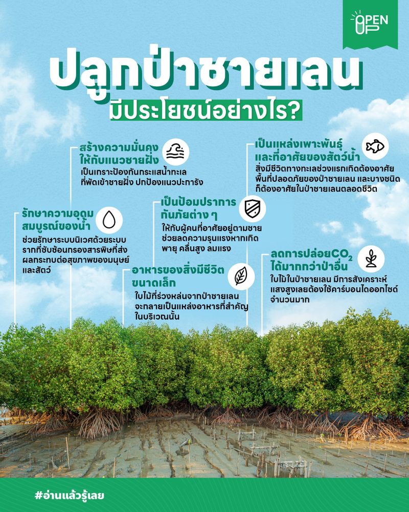 [Open Up] ปัจจุบันการตอบแทนสังคมจะมีหลากหลายรูปแบบ หนึ่งในนั้นคือการ ...