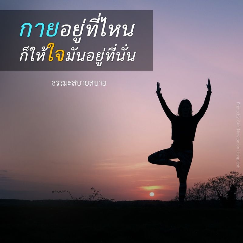 My Image 4