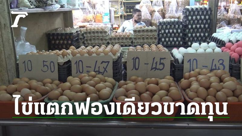 ไข่ไก่ขึ้นราคา แม่ค้าแผงไข่สงขลาโอดทำแตกไม่ได้ เพราะเบอร์ 0 ฟองละ 5 บาท