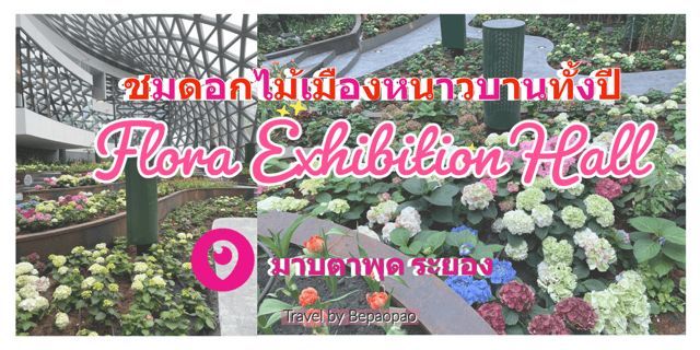 รีวิว Flora Exhibition Hall ชมดอกไม้เมืองหนาวบานทั้งปี ที่มาบตาพุด ระยอง