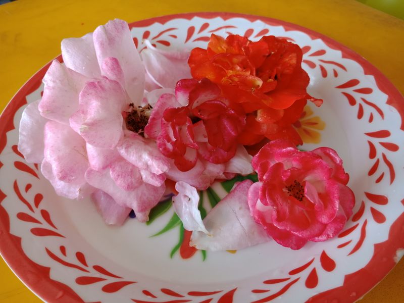 Buppha_Cafe'] ยำกลีบกุหลาบ ส่วนผสม .. ดอกกุหลาบตัดสดหลากสี 4 - 5 ดอก ..  หมูบดรวนสุก 1 ถ้วยตวง .. กุ้งสดลวกพอสะดุ้ง 5 - 6 ตัว .. หมูยอลวกสุก 1/2  ถ้วยตวง .. แครอทซอยเป็นเส้น 1/2 ถ้วยตวง .. กะหล่ำปลีม่วงซอยเป็นเส้น 1