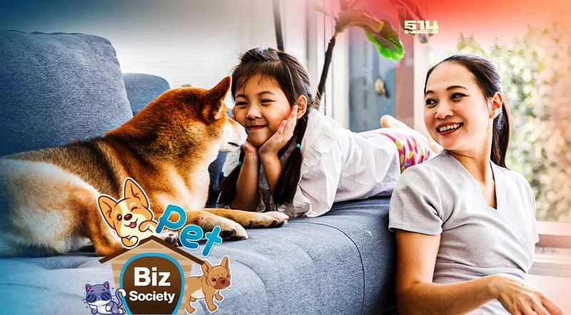 คนไทยเกือบครึ่ง ”เลี้ยงสัตว์แทนลูก” ยอมควัก 2 หมื่นเปย์สัตว์เลี้ยง