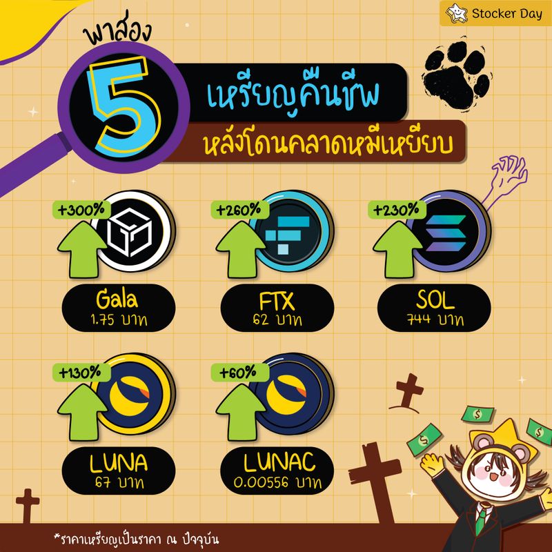 [Stocker Day] ส่อง 5 เหรียญคืนชีพ หลังจากโดนตลาดหมีเหยียบเละ ต้องบอกเลย