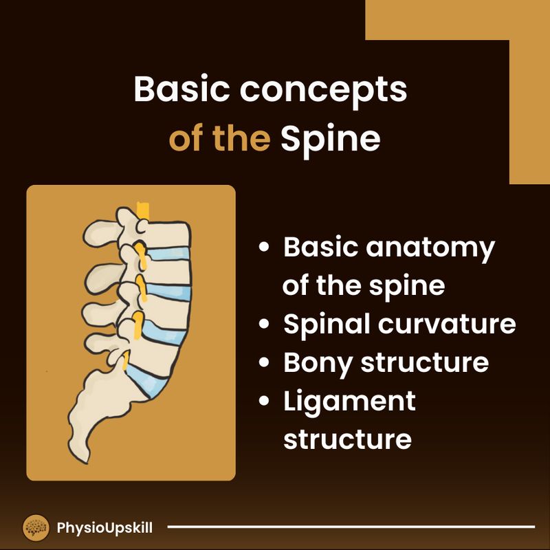 [Physioupskill] ## Episode24: Basic concepts of the spine ## หลังจาก ...